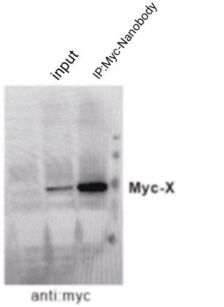 6036115110fac.png image.png