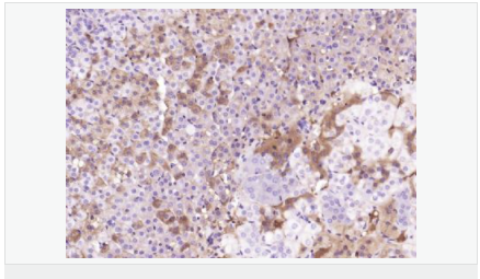 6052b3333f9dd.png image.png