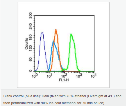 60544e86a4d07.png image.png