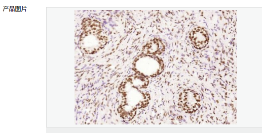 605460ada421c.png image.png