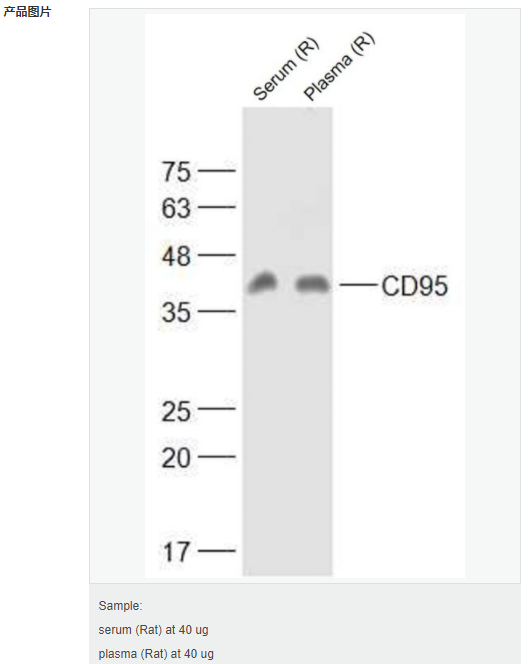 60584f98670a7.png image.png