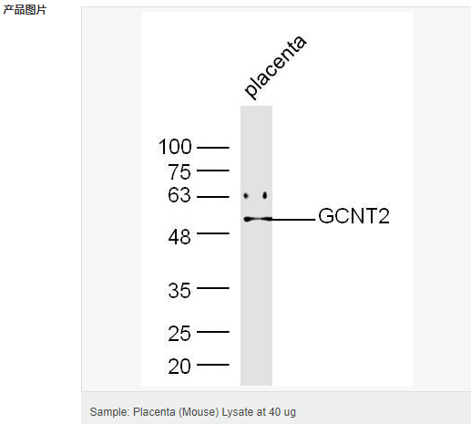 60593e95707b9.png image.png