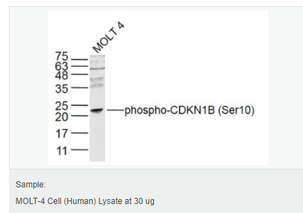 605d83665b5f7.png image.png