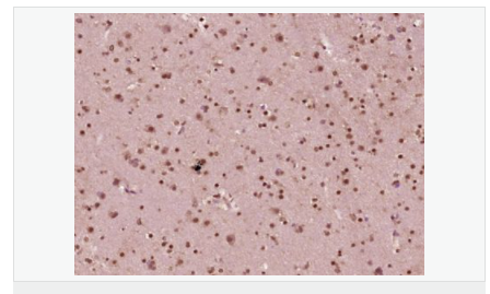 6063d5b41e07a.png image.png