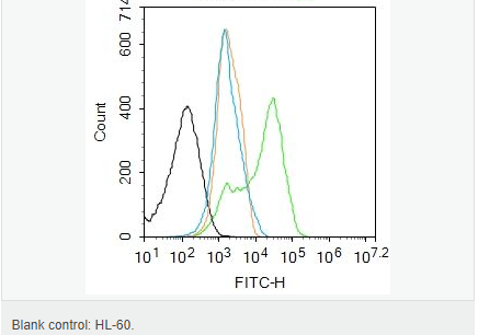 60657c101f75e.png image.png