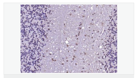 6066d4769bca5.png image.png