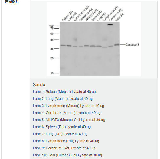 60764099b382e.png image.png