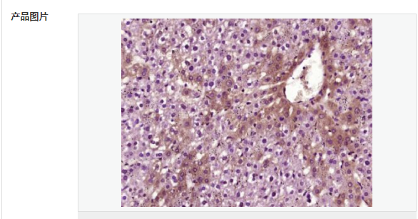 607799be336fa.png image.png