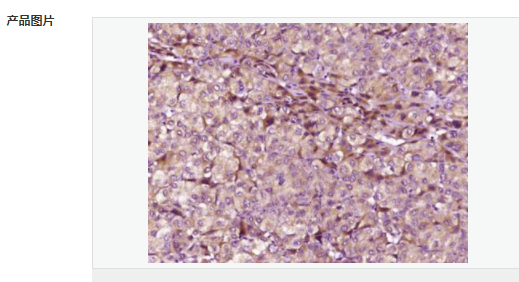 60794753f0fd9.png image.png