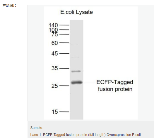 607951a7e9b5c.png image.png