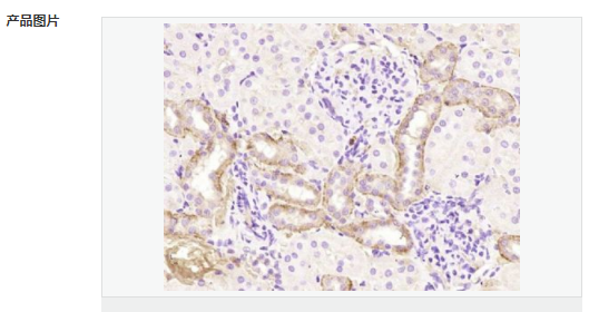 607957dde0da3.png image.png