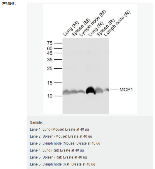 607d1ac11638d.png image.png