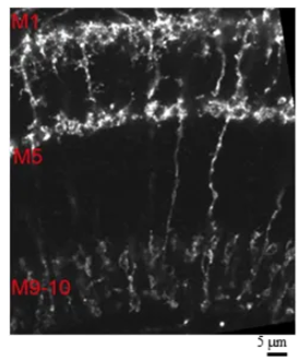 67ab094238e17.png image.png